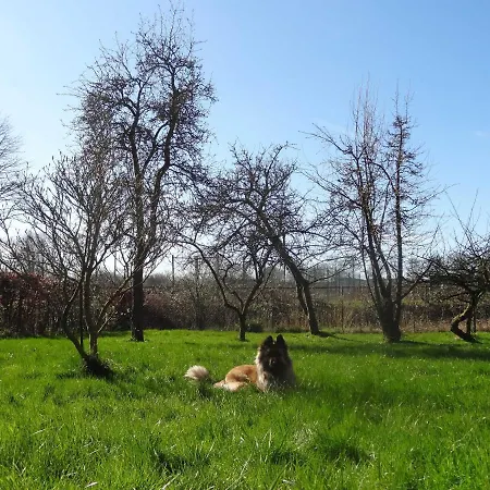Kleine Insel Gelting